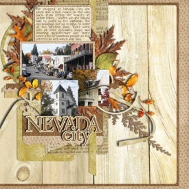 nevada-city--single12.jpg