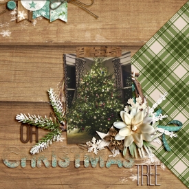 ohchristmastreesm.jpg