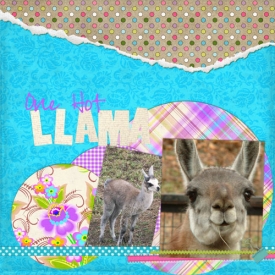 onehotllama_500.jpg