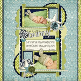 our_bunny_Zach_preview.jpg