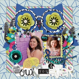 owl-web.jpg