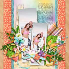 paradise2020web.jpg