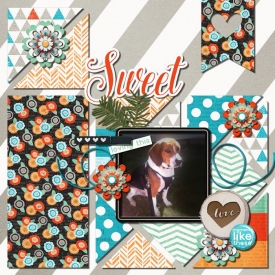 patchwork1.jpg