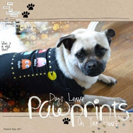 pawprints-web.jpg