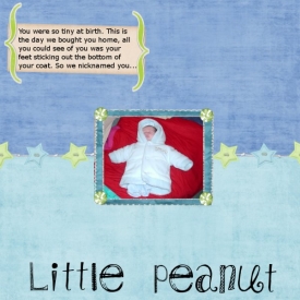 peanut.jpeg