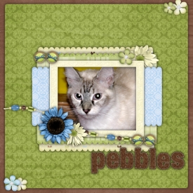 pebbles1.jpg