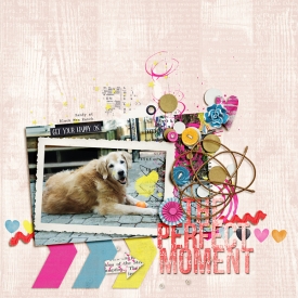 perfectmoment-copy.jpg