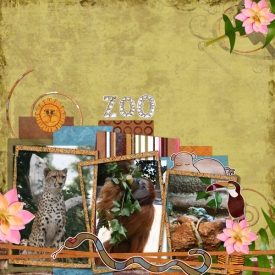 perth-Zoocookieweb.jpg