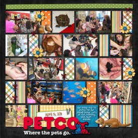 pet-co.jpg