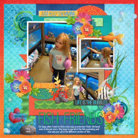pet-store-web.jpg