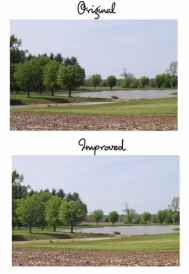 photo_comparisons.jpg