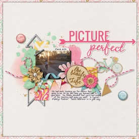 picture-perfect-web6.jpg