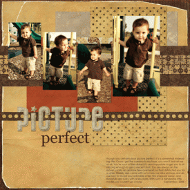 pictureperfect.gif