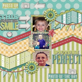 pictureperfect7.jpg
