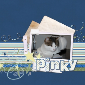 pinky_WEB.jpg