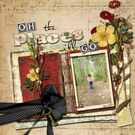 places-you-will-go.jpg