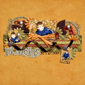 plaisirs-de-l_automne2.jpg