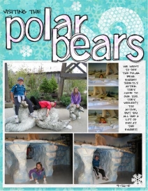 polar_bear_exhibit_463x600.jpg