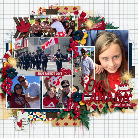 ponytails_CanadaDeh_Showcase4_-web.jpg