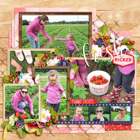 ponytails_DSI-BerryPicking_showcase10_2web.jpg