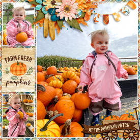 ponytails_DSI-HarvestHappenings_treed-stitchedgrids2_1web.jpg