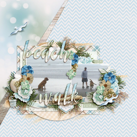 ponytails_DSI-WandererSolBeach_temptations6_1web.jpg
