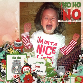ponytails_HoHoNo_christmasmemories2_web.jpg