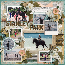 ponytails_MissingYou_cschneider-palooza146_b-web.jpg