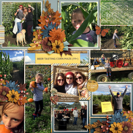ponytails_ShadesofAutumn2_cschneider-palooza104_-web.jpg