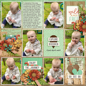 ponytails_TakeScenicRoute_treed-stitchedgrids2_web.jpg