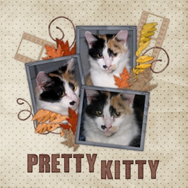 pretty_kitty.jpg