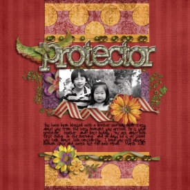 protector1.jpg
