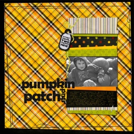 pumpkin-patch-stud-web.jpg