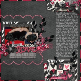 puppies-web1.jpg