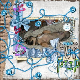 puppup_web.jpg