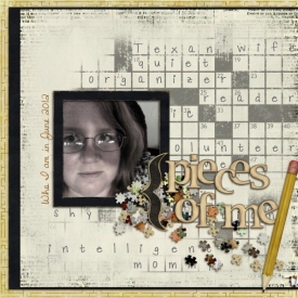 puzzled_wendymessy_tracy_lliella_600_x_600_.jpg