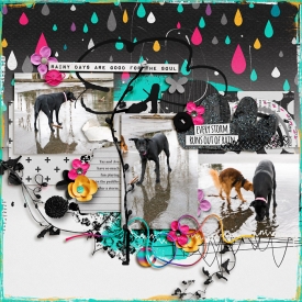 rainydays-copy.jpg