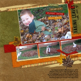 rakingleaves-liam-web.jpg