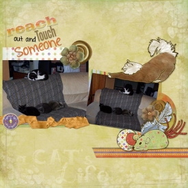 reach-out-web1.jpg