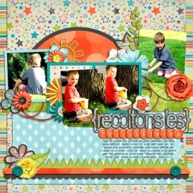 recoltons-les-h_licopteres2.jpg