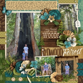 redwoods2018web.jpg