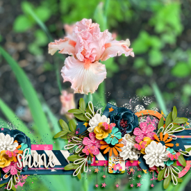 riverrose-starshine-LEA.jpg