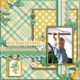 rsz_sunshine.jpg