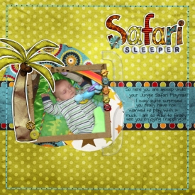 safarisleeper.jpg