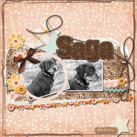 saga_copy.jpg