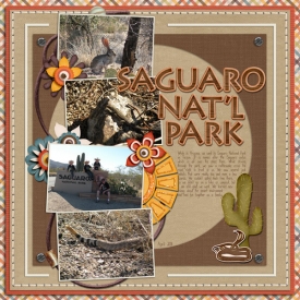 saguaro-np-wr.jpg