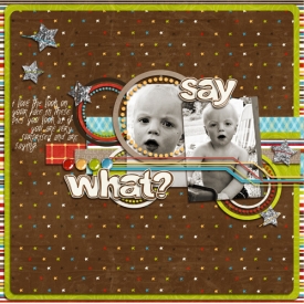 saywhat1.jpg