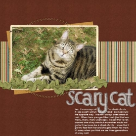 scary_cat1.jpg