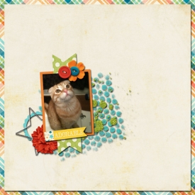 scotty---adorable.jpg