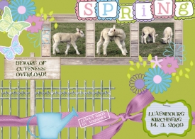 scrapbooking_cutenessoverload_small.jpg